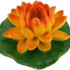 LAS ILUSIONES SON LAS RIQUEZAS DEL ALMA !!