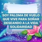 SOY PALOMA DE VUELO