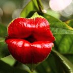 CONOCER Y DAR SENTIDO