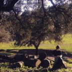 QUE BELLA ES LA ALEGRIA.