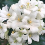 EN EL RINCON DE MI ALMA