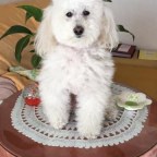 MI LUCERO ¿PORQUE DA TANTO AMOR ?19-2-21.