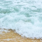 EL DOLOR Y LA VERDAD