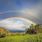 LA VIDA ¿LA CONOCES?