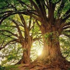 ANGEL BRAVO .PAREDES 16-3-21.