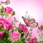 LA ILUSION ES ESPERANZA