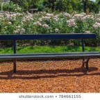 HOY NO HAY LUZ DEL SOL