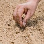 SOLIDARIDAD REFLEJO DE UNION