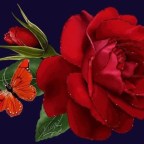 EN NUESTROS AÑOS JOVENES