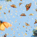 UN ADIOS A UN MES DE LLUVIA,ABRIL