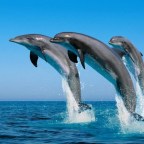 ENTRAR EN EL PENSAMIENTO