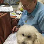 VOY A RECORDAR A MI CANICHE LUCERITO