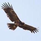 AGOSTO UN PELDAÑO MÁS