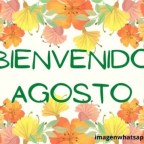 CONTIGO MI AMOR 26 AÑOS