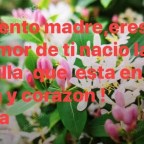 MIS OJOS LLEVAN LAGRIMAS