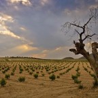 COMO EMPEZÓ MI INFANCIA