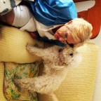 NO QUIERO DESALIENTOS,ESPERO ALEGRIA