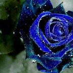 HOY CELEBRAMOS LA FIESTA DE TODOS LOS SANTOS