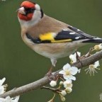 EL FRÍO DE LA MAÑANA