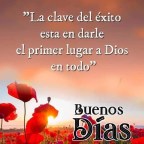 LAURA MUÑOZ AMARILLO NAVIDAD ILUSION Y VIDA