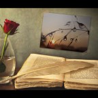 QUE DECIR DE LOS VERSOS…