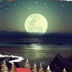 ENCONTRAR LO PERDIDO