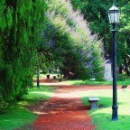 EL DESPERTAR DE FEBRERO