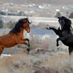 LA HISTORIA DESVANECE