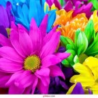 SE ENCUENTRA LA VERDAD