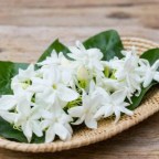 ELEVAR EL PENSAMIENTO