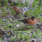 HOY ME ENCUENTRO FELIZ