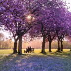 ANTE LA INCERTIDUMBRE