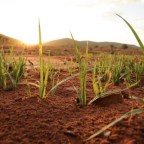 QUIERO VIVIR CON ALEGRIA