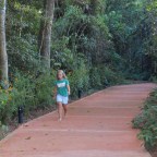 BIOGRAFIA 2 BASADA EN LOS ANIMALES