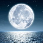 BIOGRAFIA N 4 EL MAR Y SUS COMPONENTES