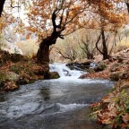 ENCUENTRO EN ESE AMANECER