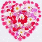 DEMOS SENTIDO A LA PRIMAVERA