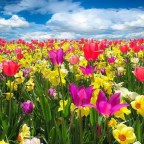 YO QUIERO ENGRANDECER