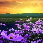 CANTEMOS A LA ESPERANZA