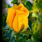 LAS ILUSIONES DE MI ALMA