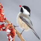 SIN DOLOR Y SIN FATIGA ES
