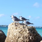 EL AMOR EMBELLECE EL ALMA