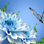 HOY ES LA BELLEZA Y ALEGRIA