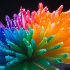 DESPERTAR DE UN SUEÑO