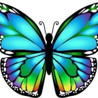 LA VERDAD DE LA VIDA