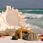 LA VIDA ES ÉXITO SINO DE RINDES