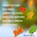 LO MÁS BELLO ES CREER EN DIOS