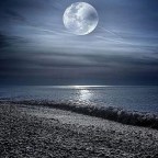 QUIERO VER MIS SENTIMIENTOS