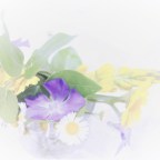 AQUI SON LOS 30 AÑOS