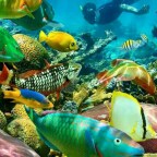 ESTOY NTENTANDO ESCRIBIR MI PEQUEÑA AVENTURA